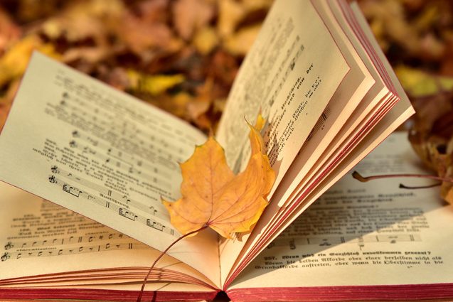 sarkili-hayat-bilgisi-defteri